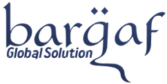 barqafgs.online